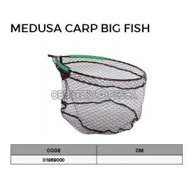 MEDUSA CARP BIG FISH